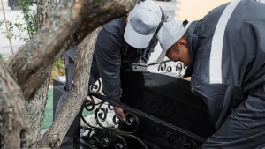 Когда ставят памятник на могилу после похорон